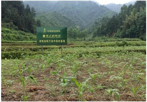 对话绿之韵:企业可在参与扶贫的道路上实现双