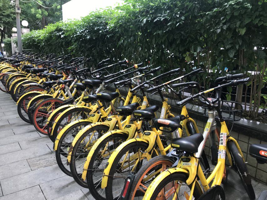 从明星创业公司到被曝启动破产方案